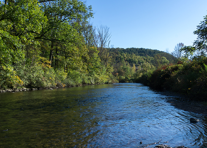 Fishing Haven