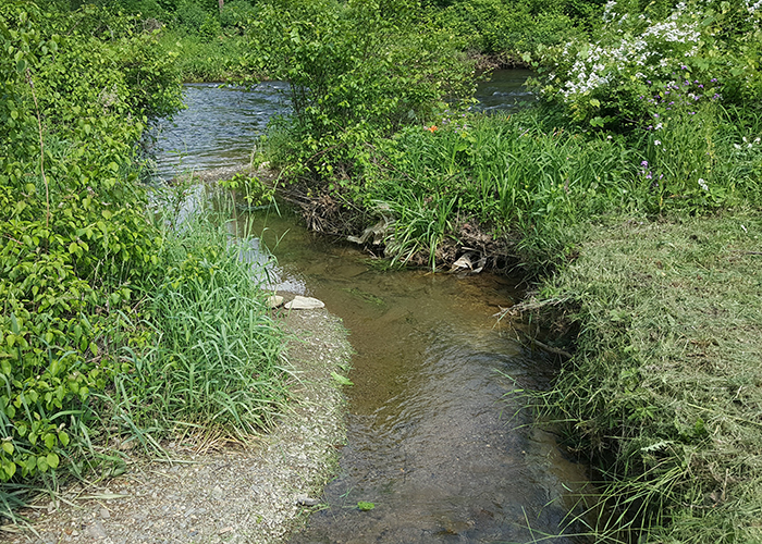 Creek that goes into the Stream