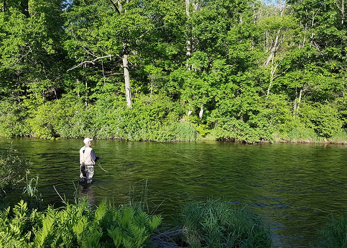 Fishing Our Stream